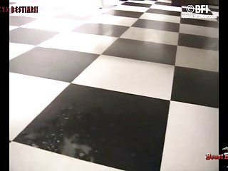 Animal Too Animal Sex