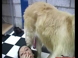 Animal Sex With Girls Full Hd