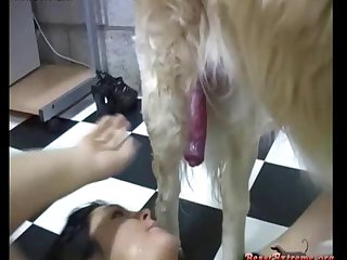 Animal Sex With Girls Full Hd