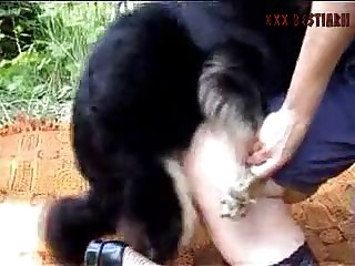 Animal Sex Toys Porn