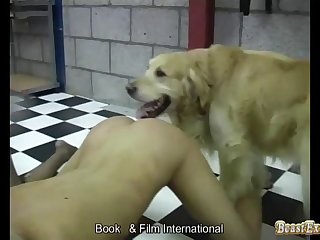 Animal Sex Dok