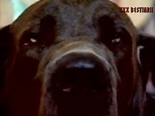 Animal Sex Porn Tubes