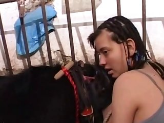 Xxx Hd Animal Sex