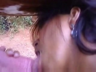 Animal Sex Videos Porn