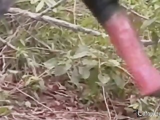 Animal Having Sex With Other Animals