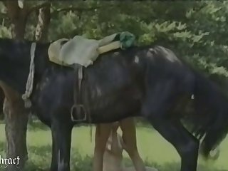 Sex Gay Cartoon Animal