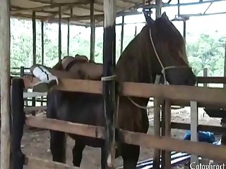 My Animal Sex With Ladys