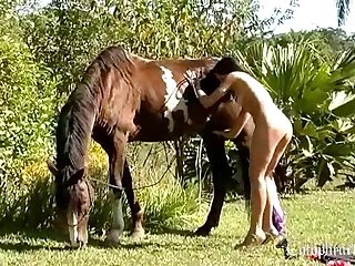 Animal Crossing Ankha Sex Video