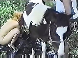 Animal Sex Means