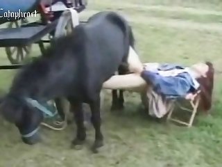Female And Animal Sex Video