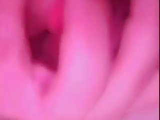 Porn Animal Suck Dick