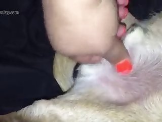 Porn Pics Animal