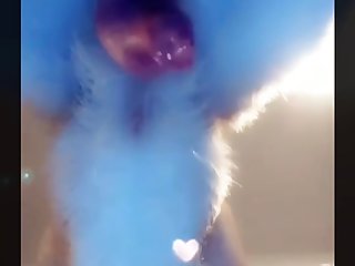 Animal Human Porn Pic