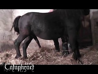 Animal Man Porn Videos