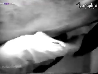 Rashmika Mandanna Animal Porn