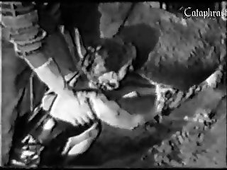 Animal Sex Porn Comics