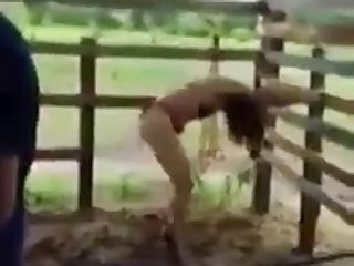 Animal Rape Porn