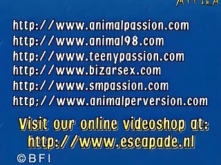 Blonde Girl And Black Dog Animal Porn Shooting