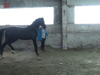 Man Fucking Animal Pussy Porn