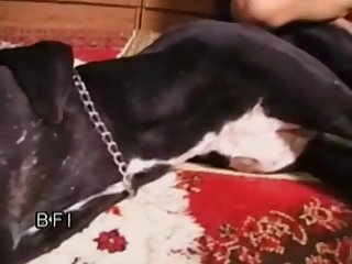 Videos De Porno Gratis Zoofilia