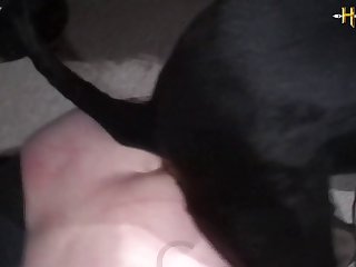 House Party Porn Xxx