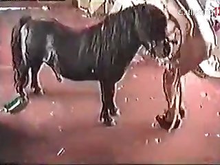 Loved His Hot Cock Inside Her The Thickness Of It