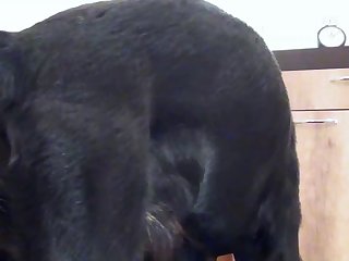The Room And I Felt My Nipples Harden. When Mistress