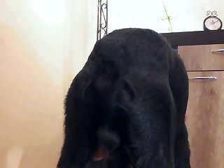 The Room And I Felt My Nipples Harden. When Mistress