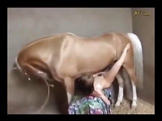 Fun And Good Sex Wiith Gifted Horse Dick Part