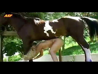 Blond Girl Horse Fucking Mily And The Beast Free Miscellaneous Clips Spanking bang xxnxcom Partia cavalos