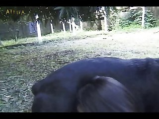 Hot Horny Chick And Her Dog Part 2