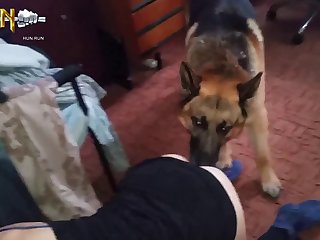 Amateur My Wife Love Dog