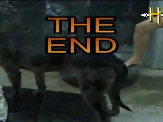 Zoo Delight Fucking Street Dogs Zoo Porno Bestiality Sex With Dog 720p