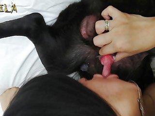 Beast Sex Vids
