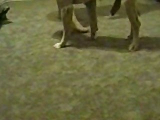 Amateur American Women And Her Dog 002