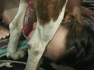 Amateur Specky Girl And Bulldog