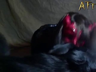 Animalsexfun