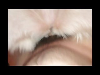 Asian Animal Sex Fun