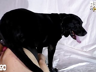 Film Hd Sexy