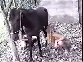 Horsing Around 6 Part 1