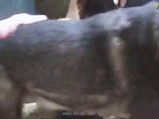 Castingcouch Hd Gina