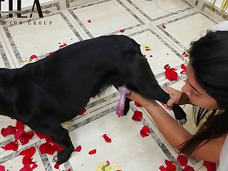 Tushyraw Dog Porn