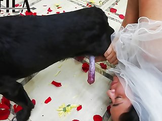 Tushyraw Dog Porn