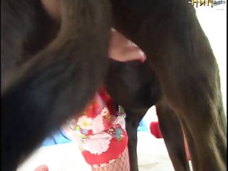 Video Adulto X