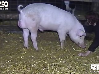 Pornhd8k