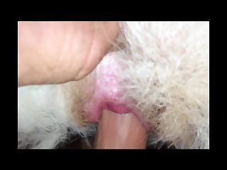 Jynx Maze Sexually Broken