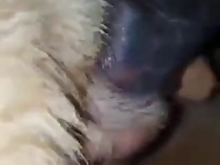 Araby Sexy Com