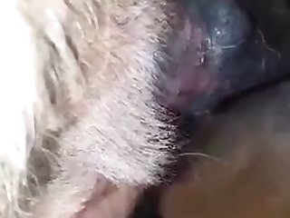 Araby Sexy Com