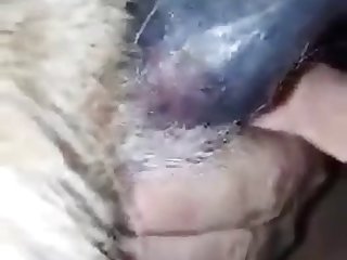 Araby Sexy Com