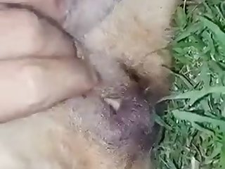 Araby Sexy Com